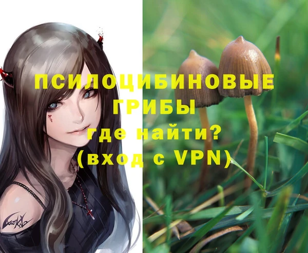 мдпв Нягань