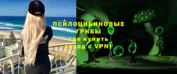 прущий лед Няндома